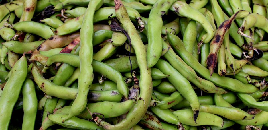 Choose Fresher Whole-Bean Coffee With a Simple Buyer’s Guide