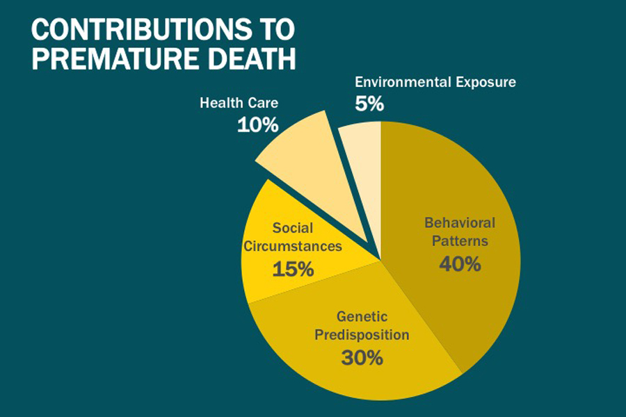 Holistic Health: Understanding How Underdeveloped Health Dimensions Contribute to Premature Death