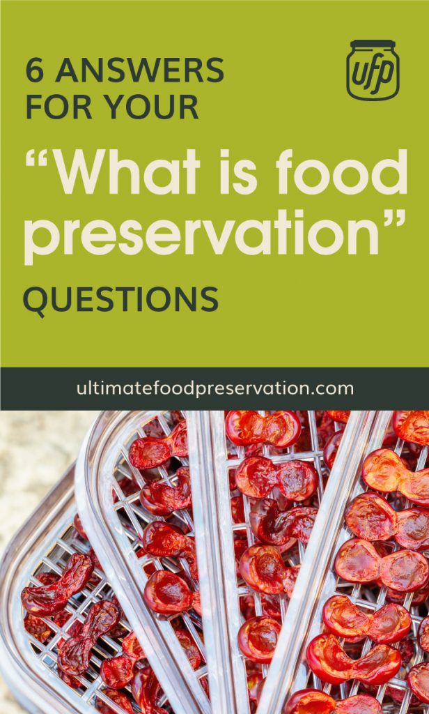 Food Preservation: Essential Methods and Benefits for Long-Term Storage