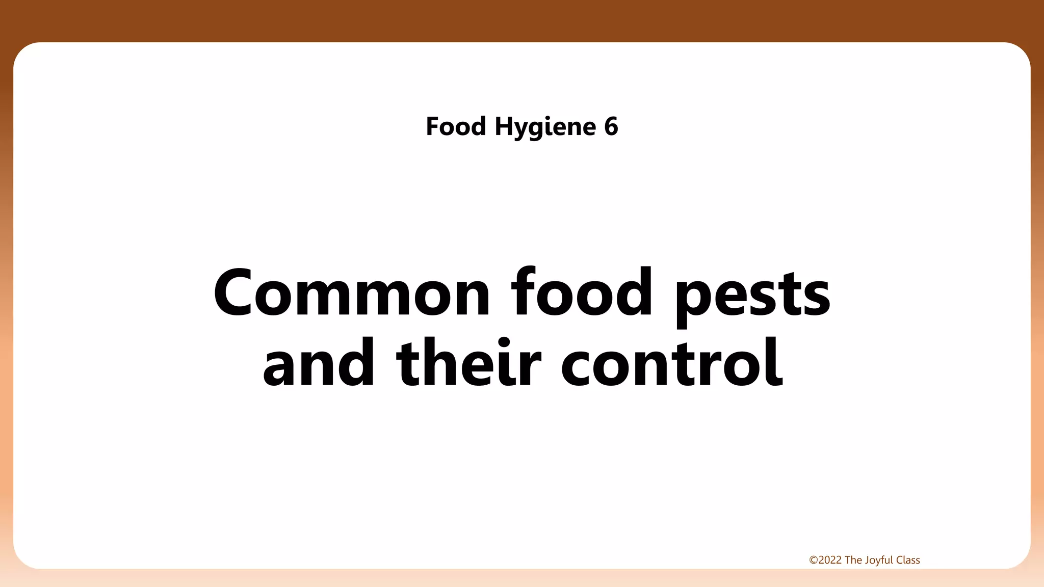 Pest Prevention in Food Service: Essential Garbage Management Practices