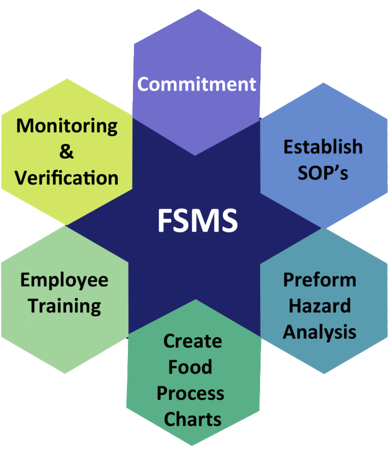 Food Safety Management Systems: Protecting Public Health Through Systematic Controls