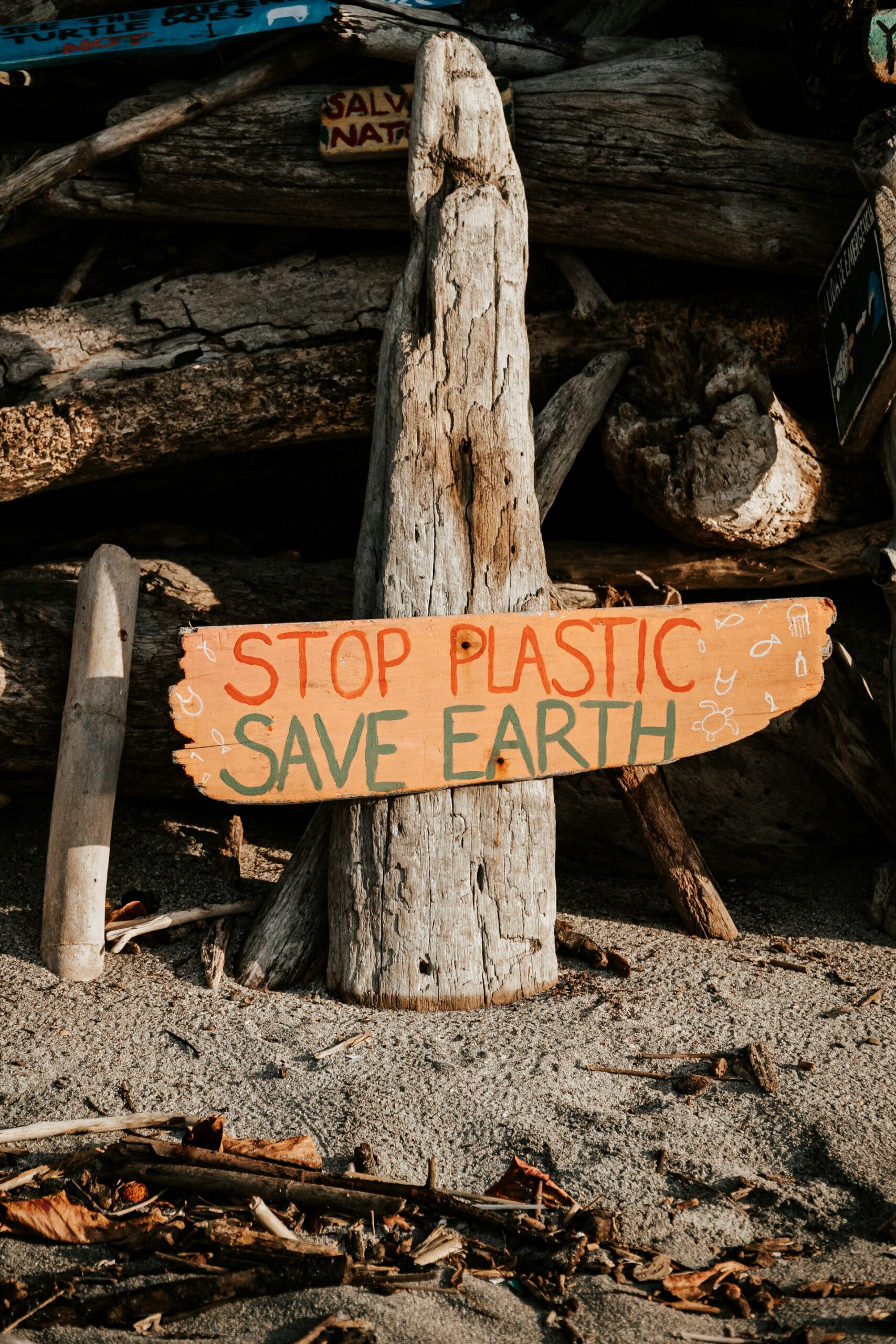 Sustainable Branding and Eco-Conscious Campaigns: Strategies for Impact in 2025
