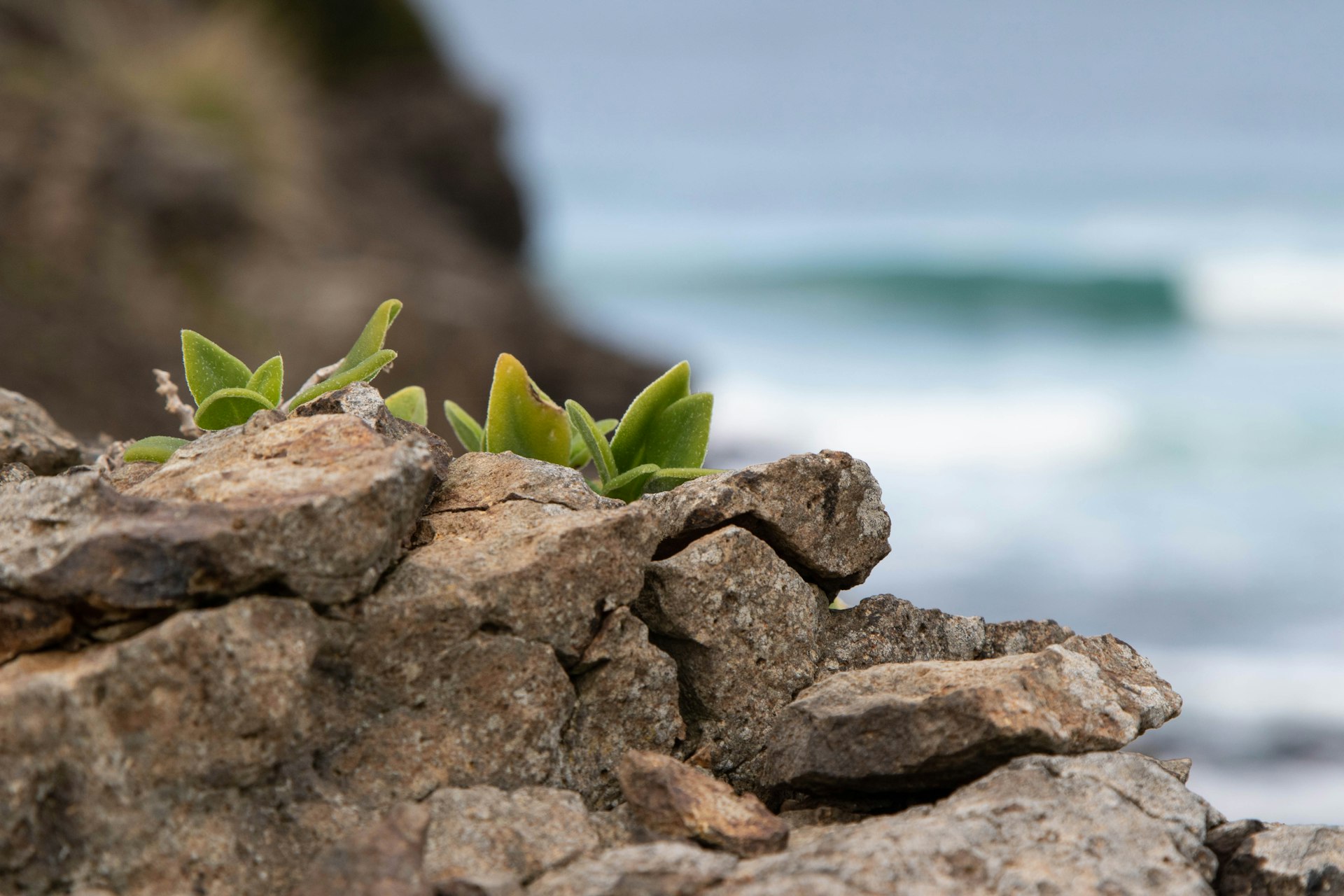 Why Adaptability Sets Effective Business Leaders Apart