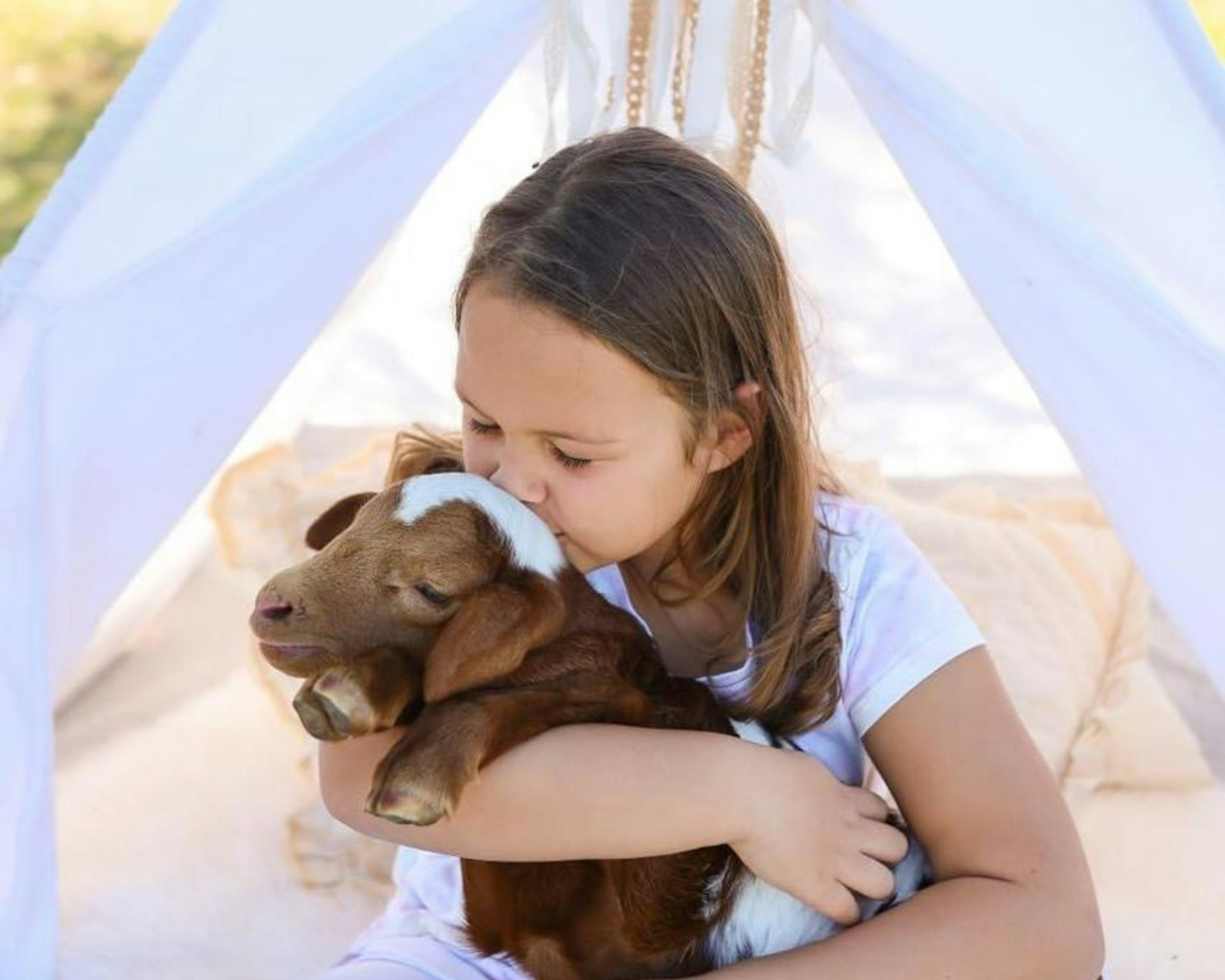How Pets Strengthen Family Bonds and Support Childhood Development